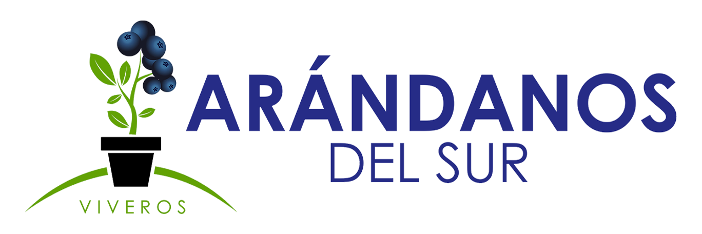 Arándanos del Sur